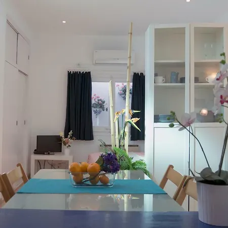 Apartment Casa Davallada: Central Pet-friendly Duplex